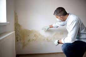 Mold Removal for HVAC Installations in East Camden, AR